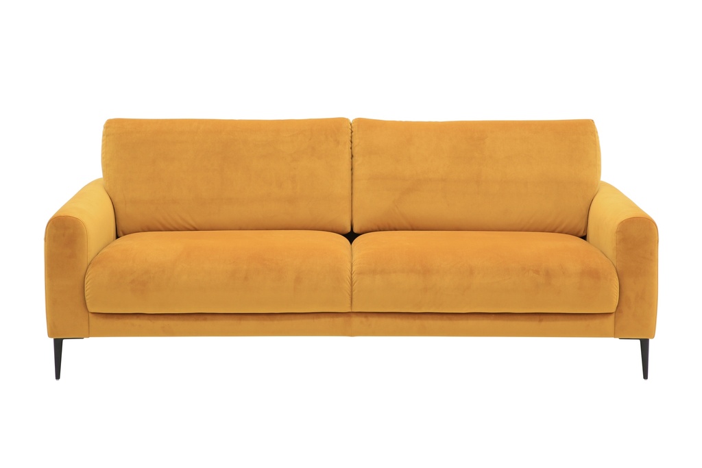 Joy 2 Seat Sofa