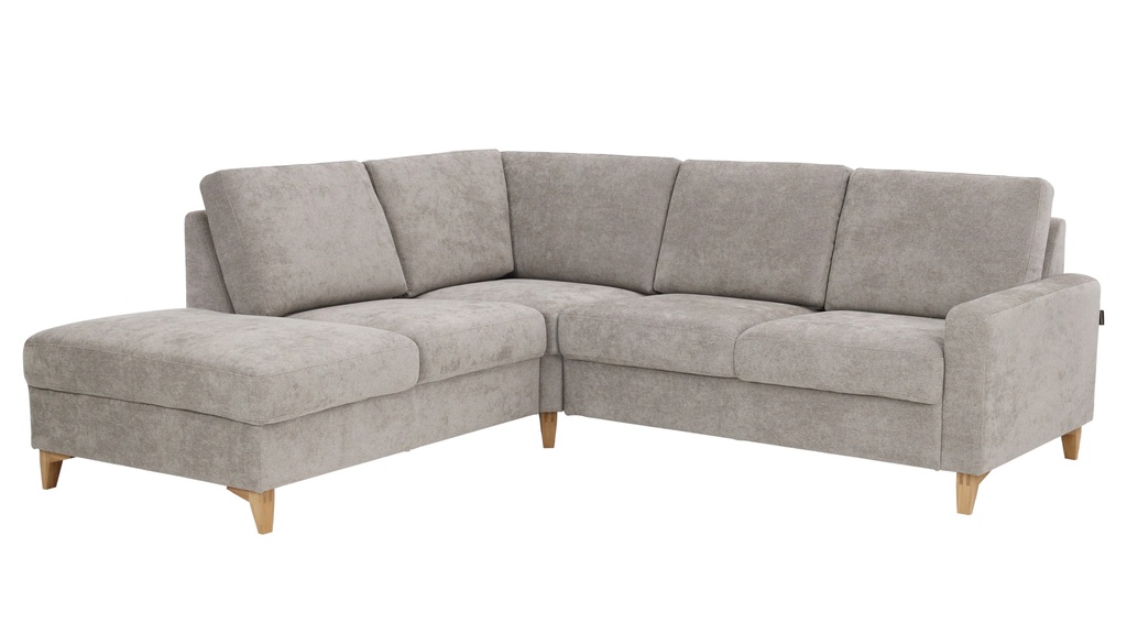 Moduli Modular Sectional