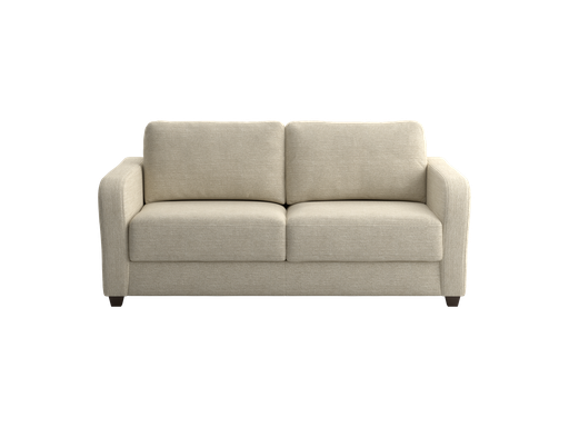 Aspen Queen Size Sleeper